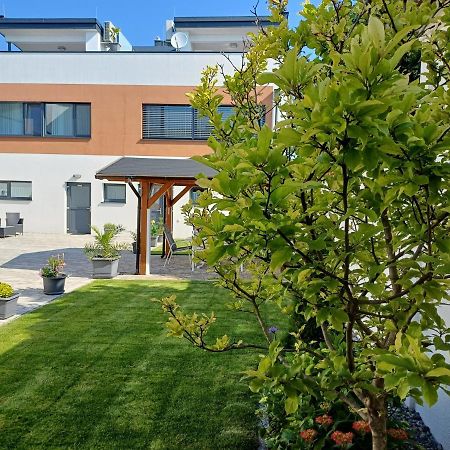 Penthouse Griemann 1 Mit Infrarotkabine Und Eigener Dachterrasse Fuer Max 4 Personen Illmitz Exteriér fotografie