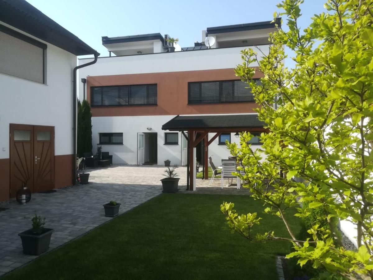 Penthouse Griemann 1 Mit Infrarotkabine Und Eigener Dachterrasse Fuer Max 4 Personen Illmitz Exteriér fotografie